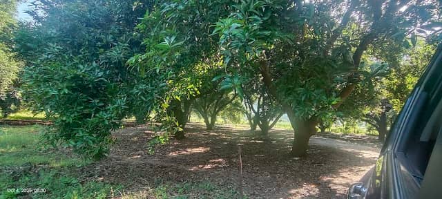VAC camping grounds - Image 1