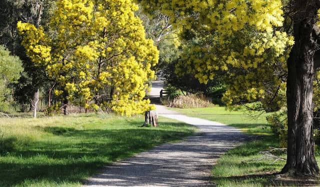 Wattle Park - Image 1
