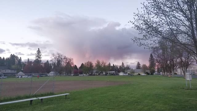 Moos Field - Image 3