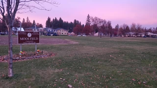 Moos Field - Image 2