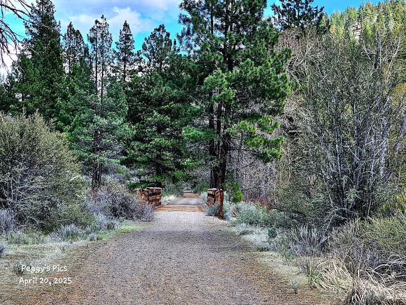 Bizz Johnson National Recreation Trail - Susanville Trailhead - Image 1