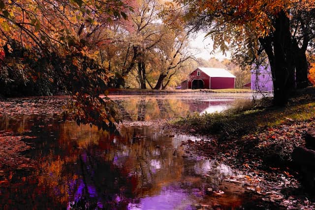 Giles mill pond - Image 1