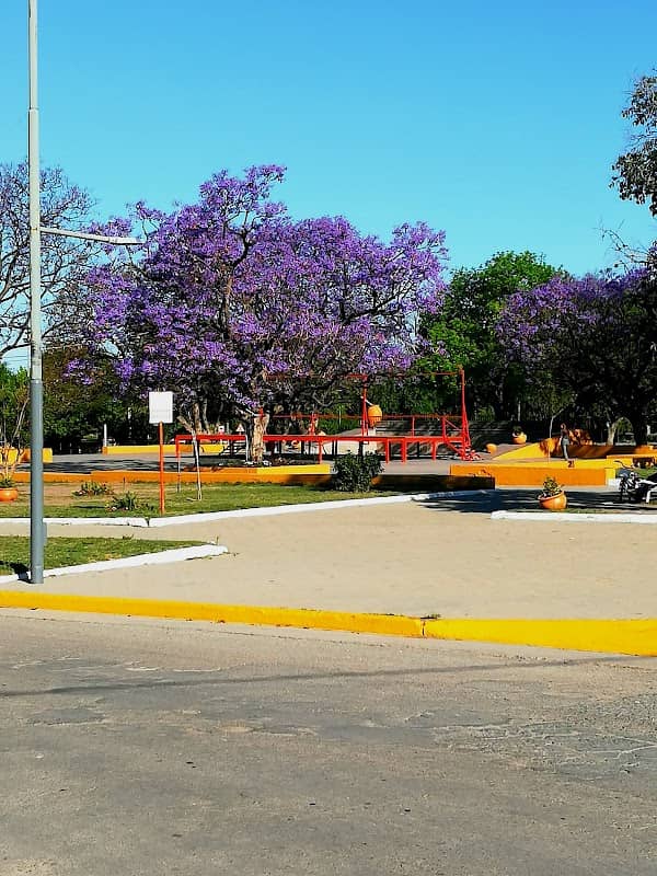 Plaza Manuel Belgrano - Image 1