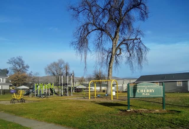 Cherry Park - Image 1