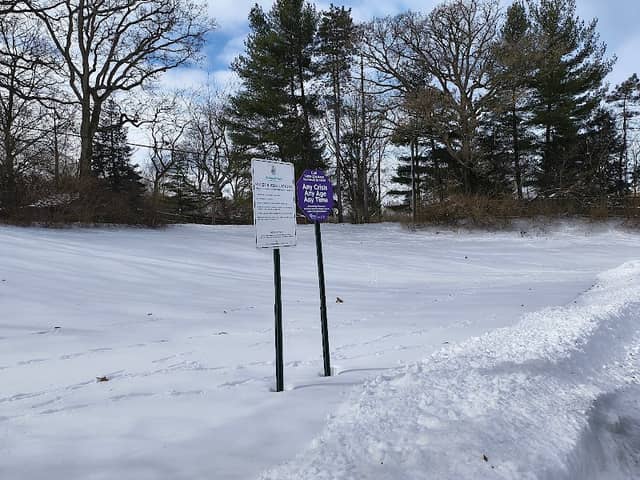 Roadside park - Image 1