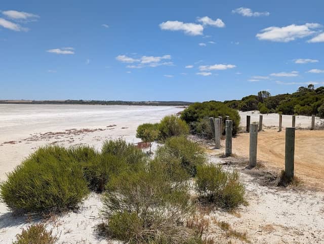 Pink lake lookout - Image 1