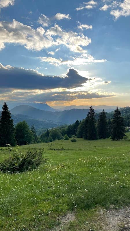 Belvedere spre Pârâul cu Brazi - Image 1