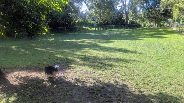 Canungra Dog Park - Image 1