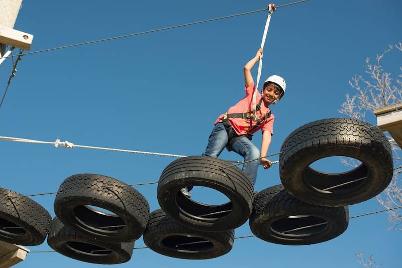 Woodlot Low Ropes - Image 1