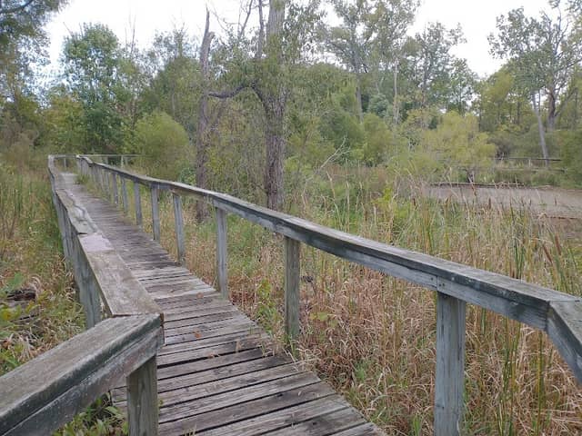 Keehne Environmental Area - Image 2