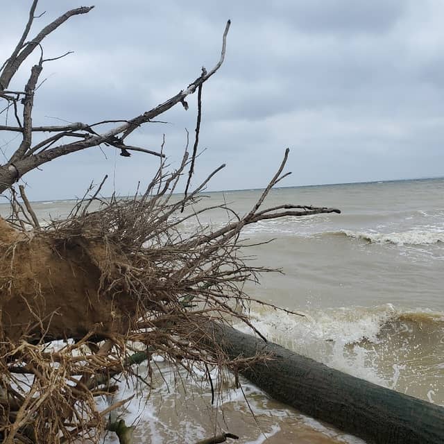 Baybreeze Group Campground - Image 1