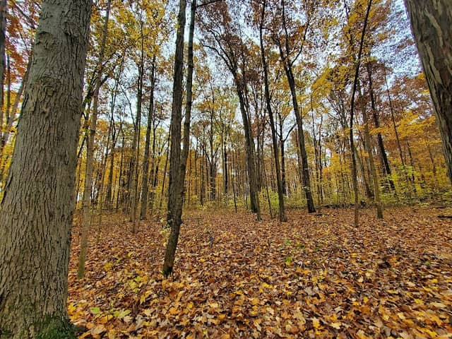Tel-Hy Nature Preserve - Acres Land Trust - Image 1
