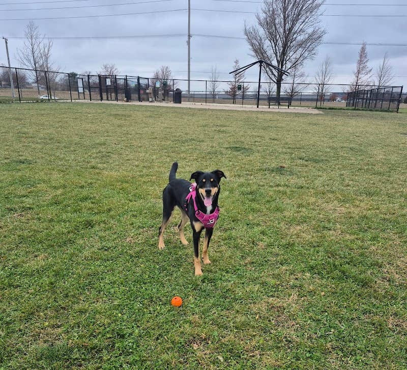 Shepard Dog Park - Image 1