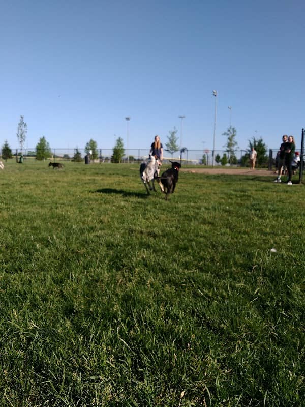 Shepard Dog Park - Image 2