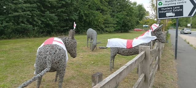 Rugby Donkeys - Image 1