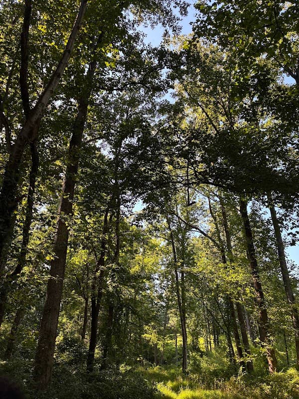 Diamond Farm Park Trails - Image 1