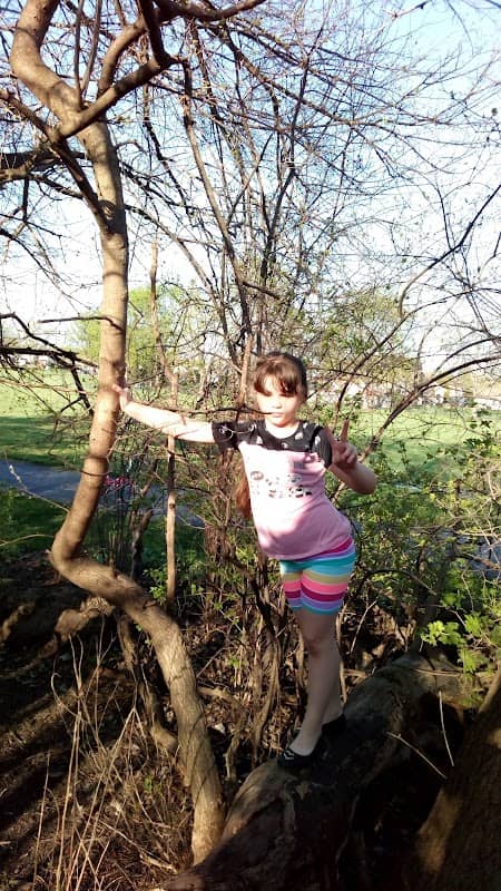 Siems Park - Image 2
