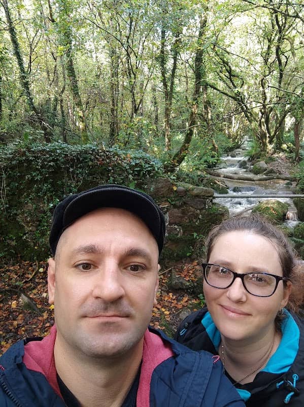 The woods - Image 1