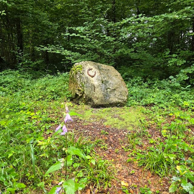 Pferdefriedhof - Image 1