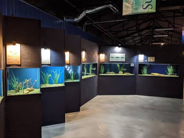 Medicine Park Aquarium and Natural Sciences Center - Image 2
