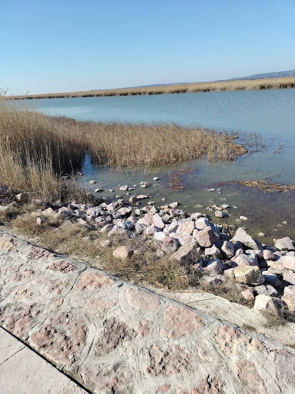 Kutyás strand - Image 1
