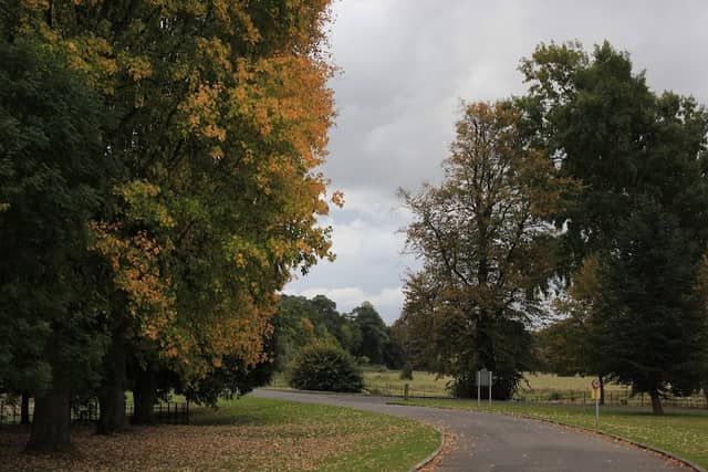 Goldings Historic Park - Image 1