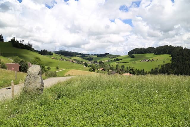Menhir Lychleustein, Oberthal - Image 2