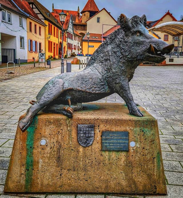 Eber am Römerplatz - Image 1