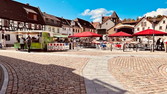 Eber am Römerplatz - Image 2
