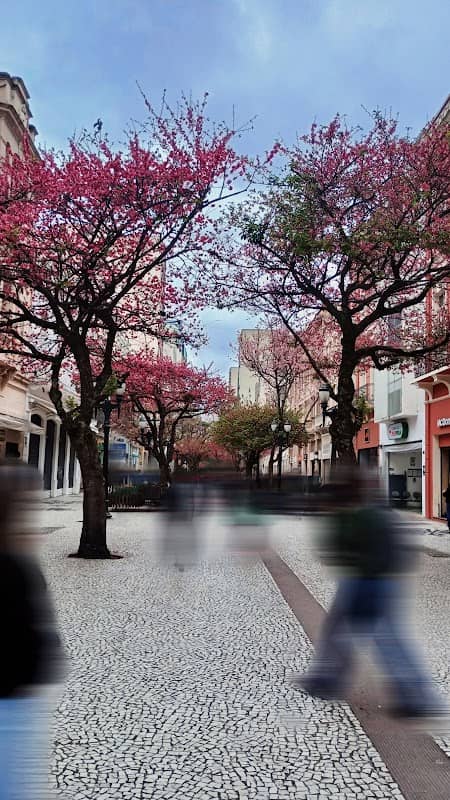 Calçadão da XV - Image 2