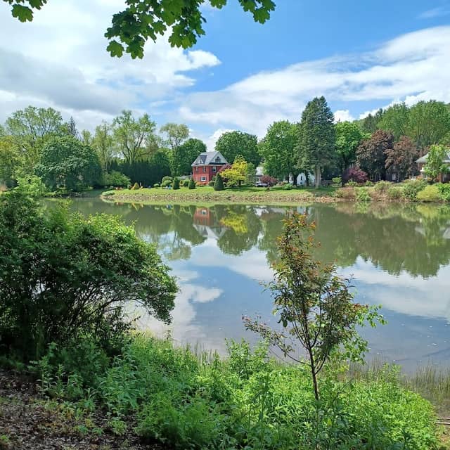 Upper Witmer Park - Image 2