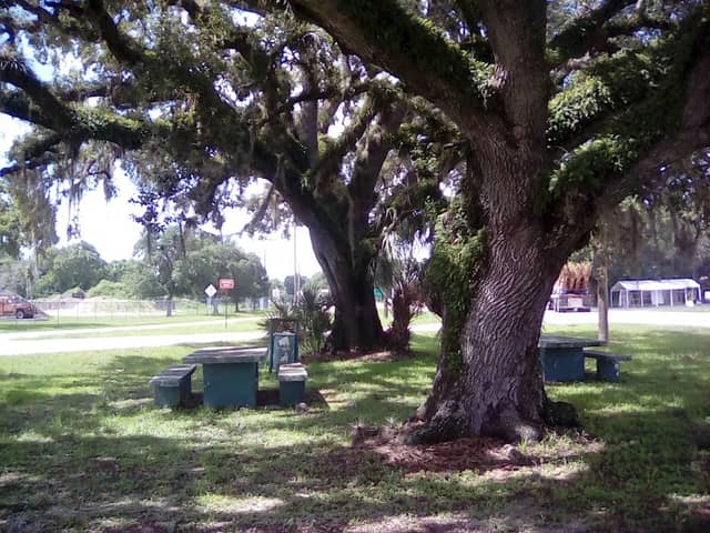 Main Street Roadside Park - Image 2