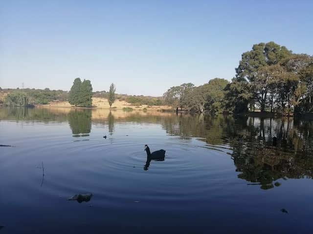 Alberton Dam - Image 1