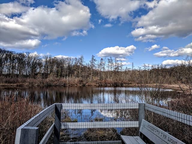 Triangle Lake Bog State Nature Preserve - Image 1