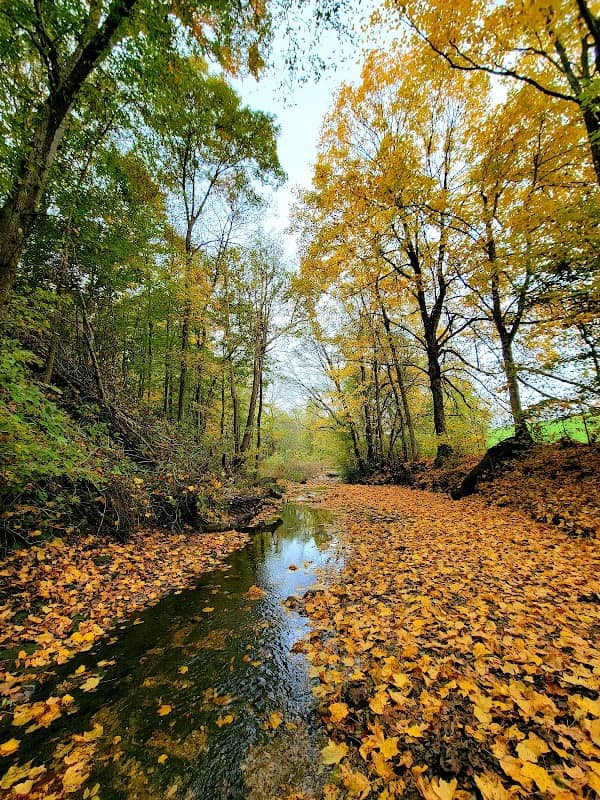 Dumont Hill At Dugas Community Park - Image 1