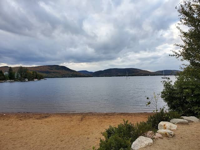 Pioneer Park - Image 1