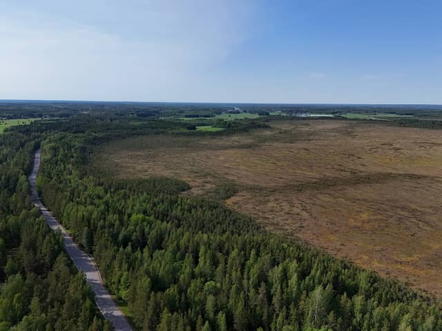 Ronkansuon pitkospuut - Image 2