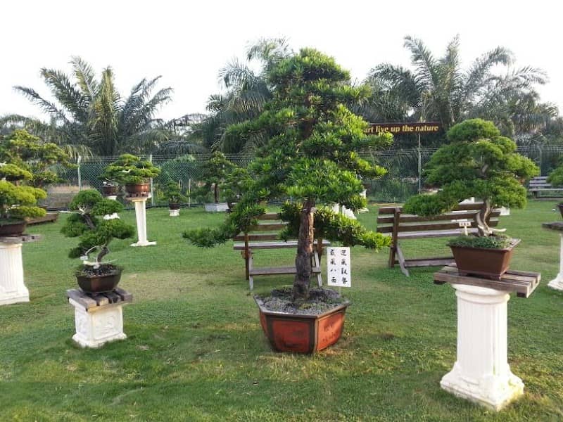 U.A. Garden - Image 1