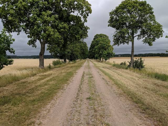Rest stop Ljungs slott - Image 1