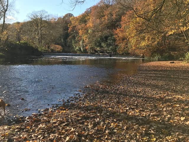 Woodbank Park - Image 2
