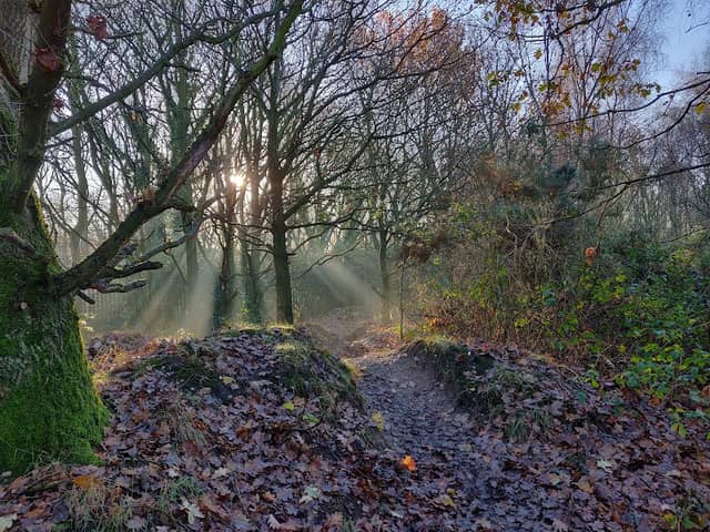Shire Oak Park LNR - Image 1