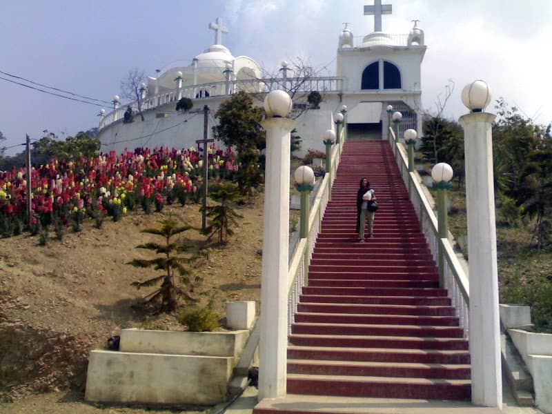 KV Paradise - Image 2
