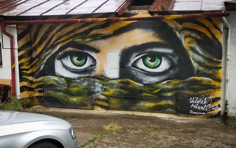 Mural "Pohľad včelára" autor: Valašek - Artwall - Image 2