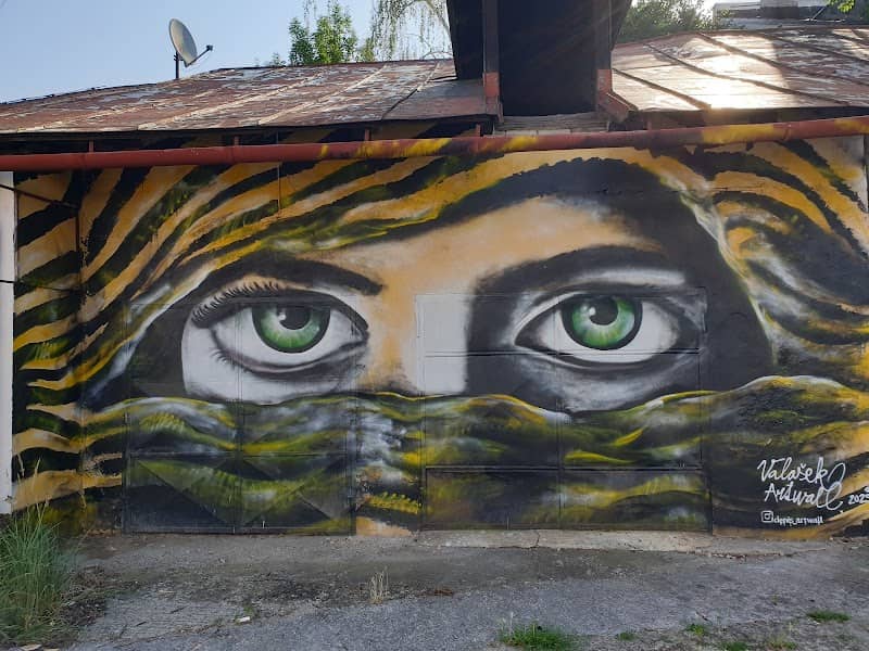 Mural "Pohľad včelára" autor: Valašek - Artwall - Image 1