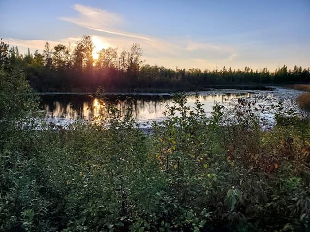 Lake Scenic Outlook - Image 1