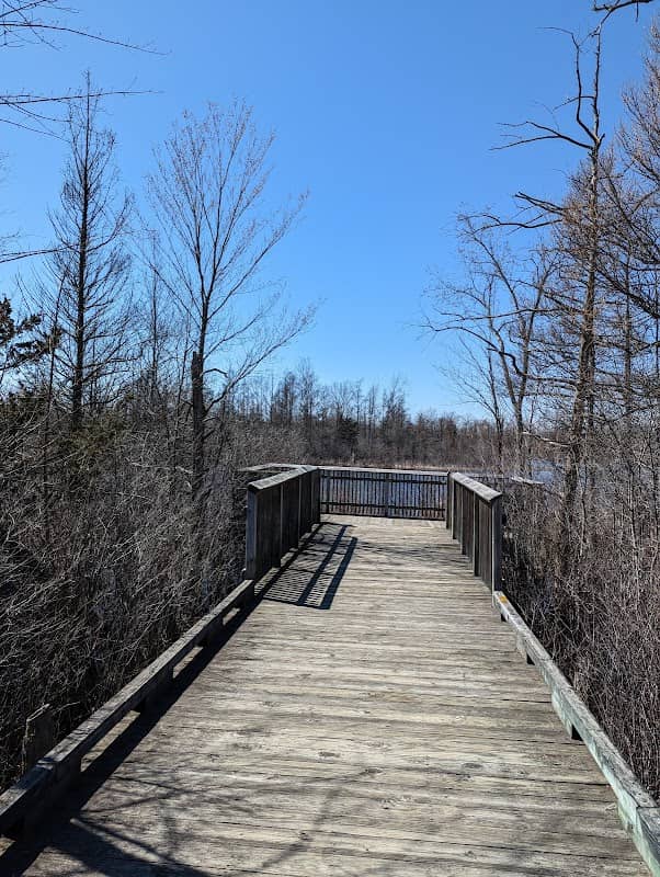 Lake Scenic Outlook - Image 2