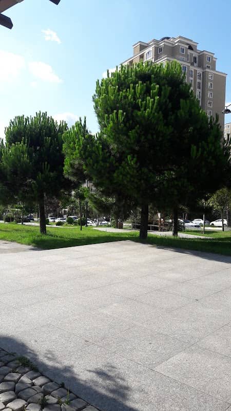 Park - Image 2