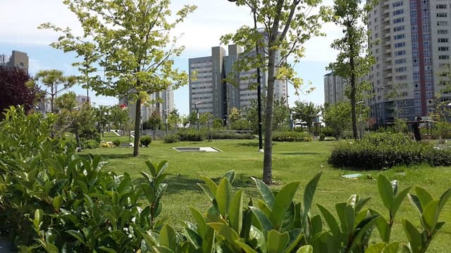 Park - Image 3