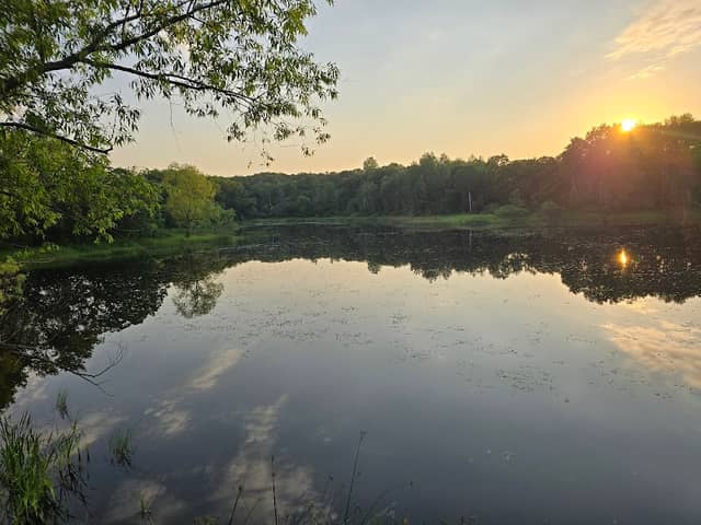 Hidden Lake Park Observation Desk - Image 1