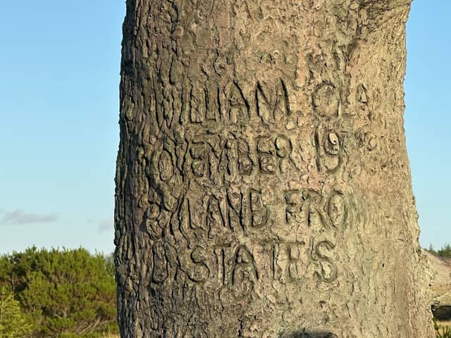 Lewis and Clark Carved Tree - Image 1